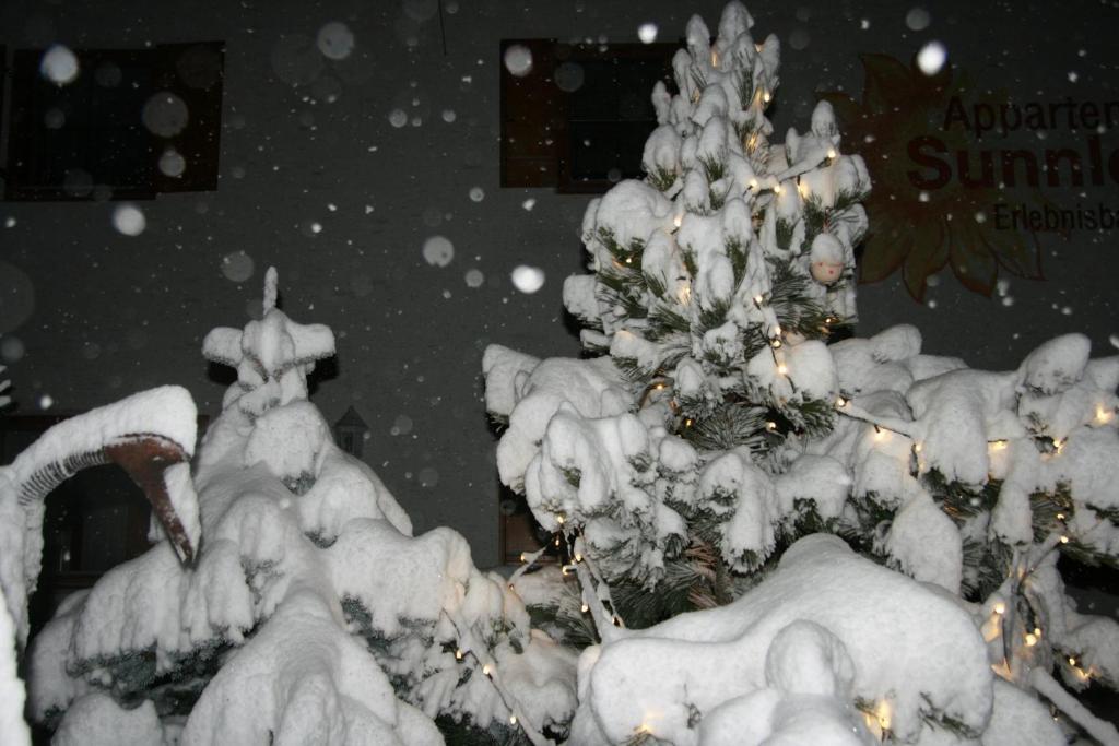 Appartement Sunnleitn St. Valentin auf der Haide Extérieur photo
